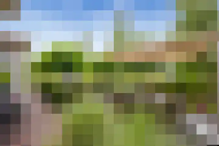Schuifknoop 13 Almere thumbnail 6