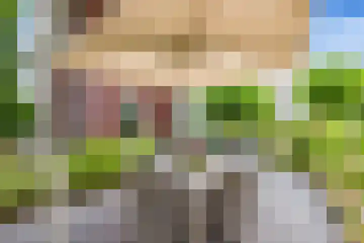 Schuifknoop 13 Almere thumbnail 7