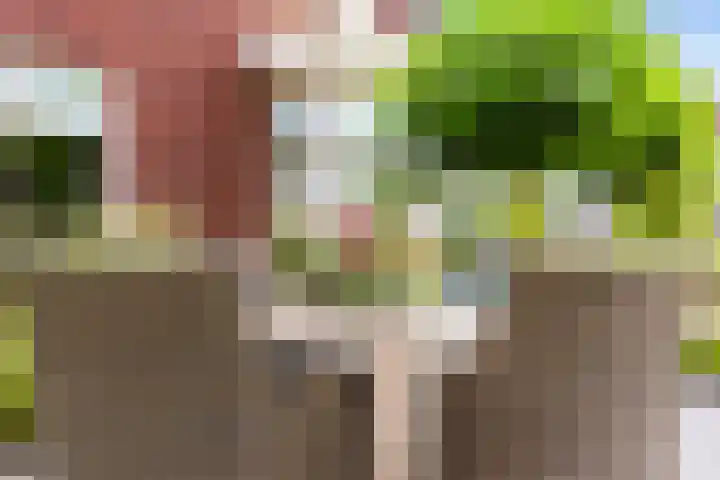 Schuifknoop 13 Almere thumbnail 8