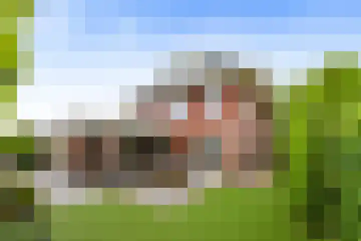 Schuifknoop 13 Almere thumbnail 98
