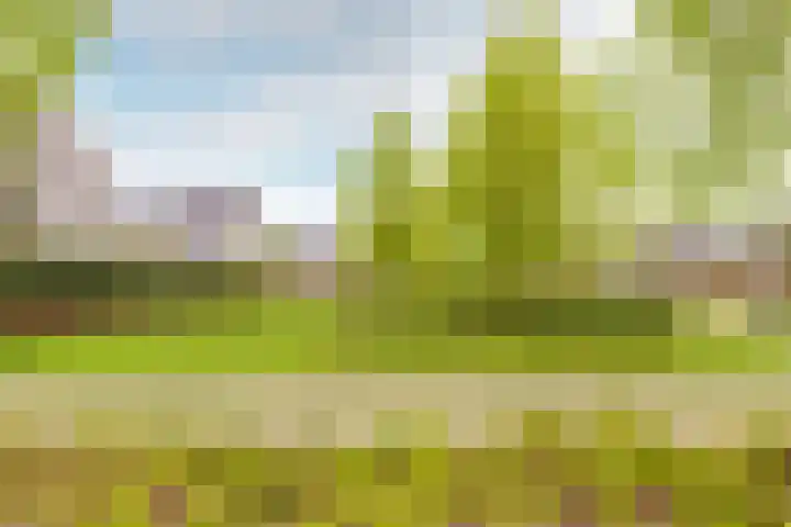 Schuifknoop 21 Almere thumbnail 52
