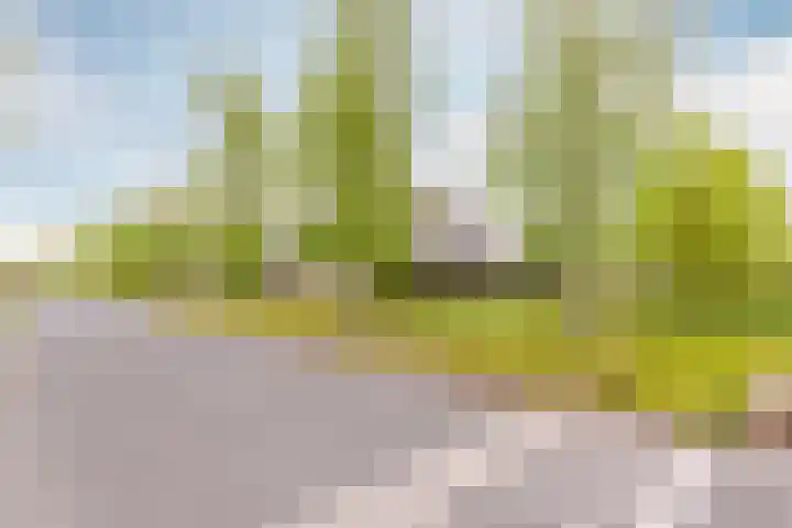 Schuifknoop 21 Almere thumbnail 53