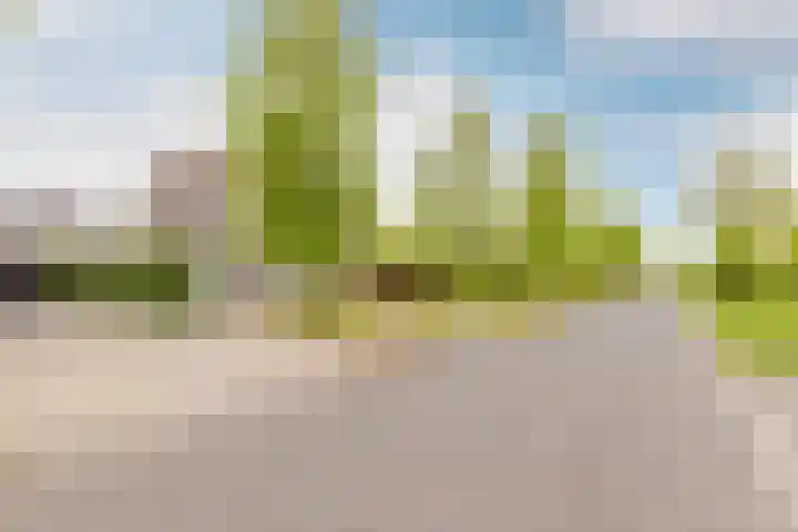 Schuifknoop 21 Almere thumbnail 54