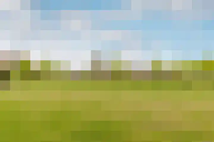 Schuifknoop 21 Almere thumbnail 55