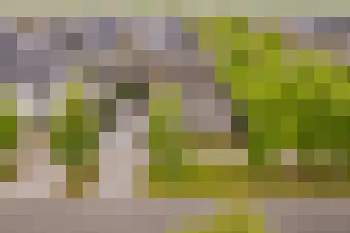 Schuifknoop 21 Almere thumbnail 57
