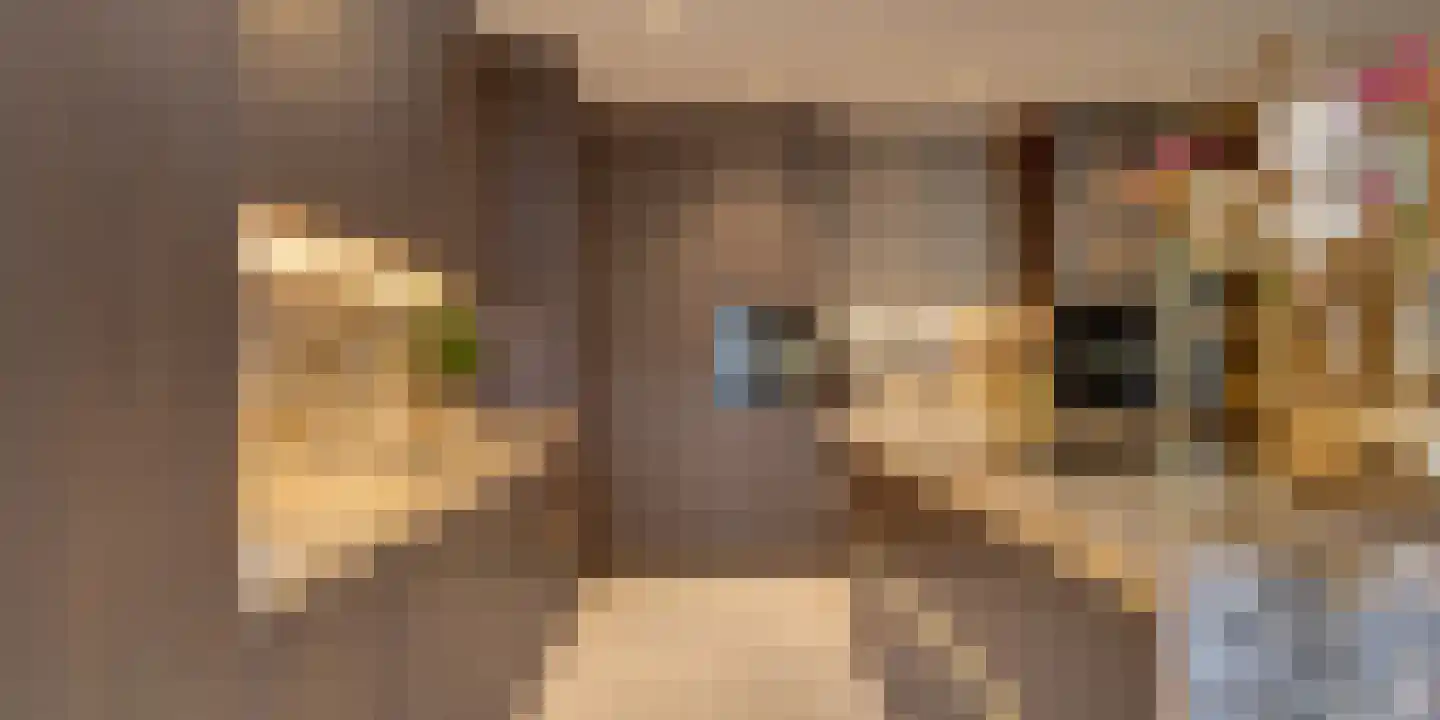 Schuifknoop 27 Almere thumbnail 36