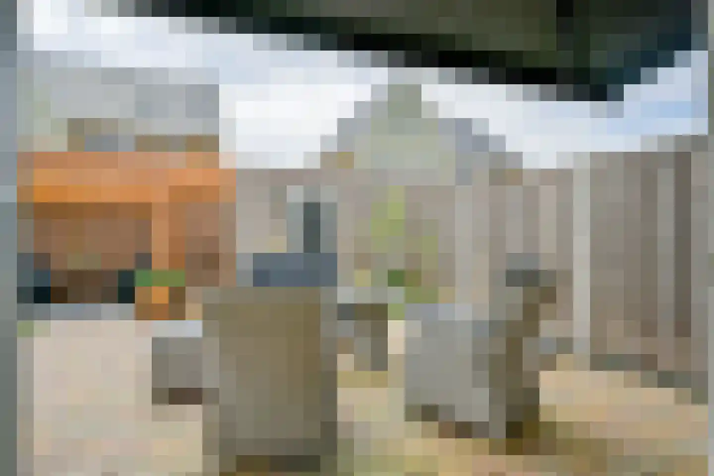 Schuifploeg 21 't Zand thumbnail 13