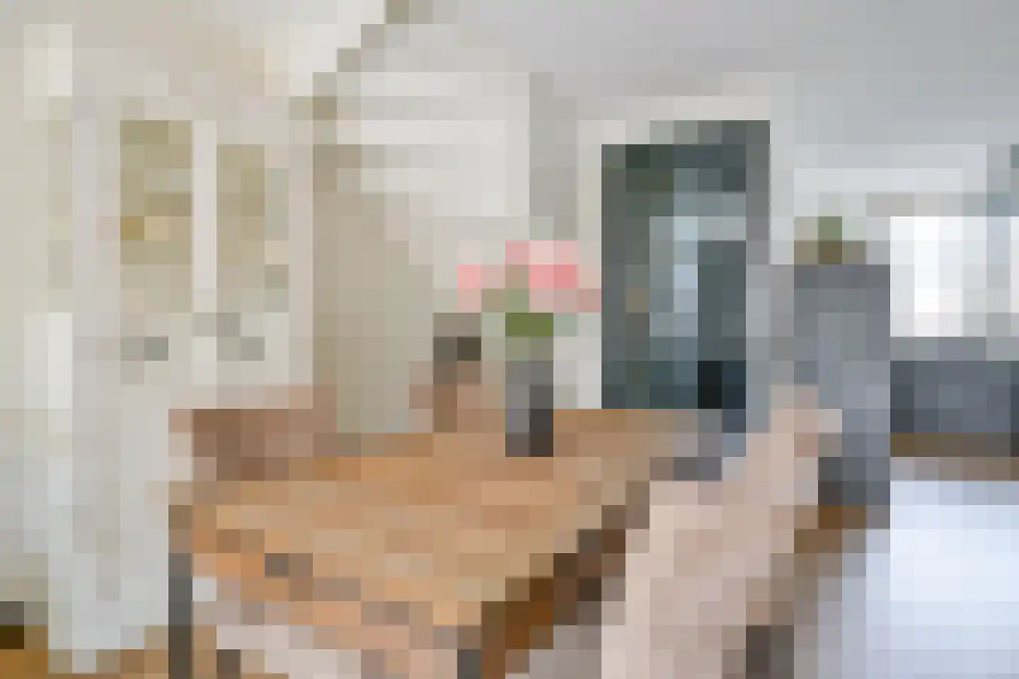 Schuifploeg 21 't Zand thumbnail 17