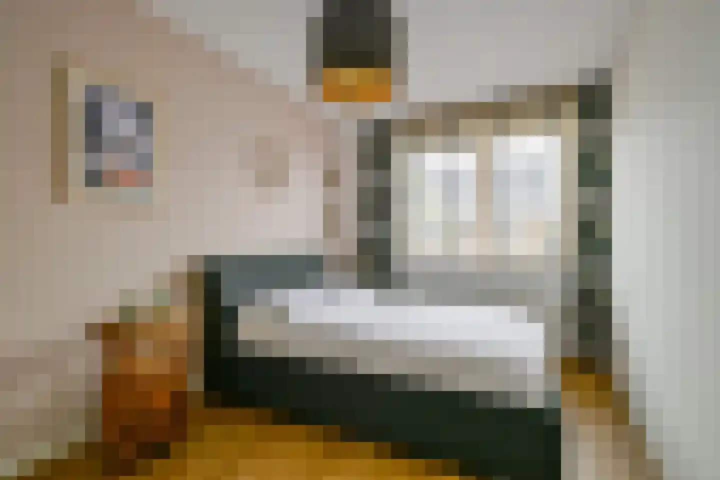 Schuifploeg 21 't Zand thumbnail 19