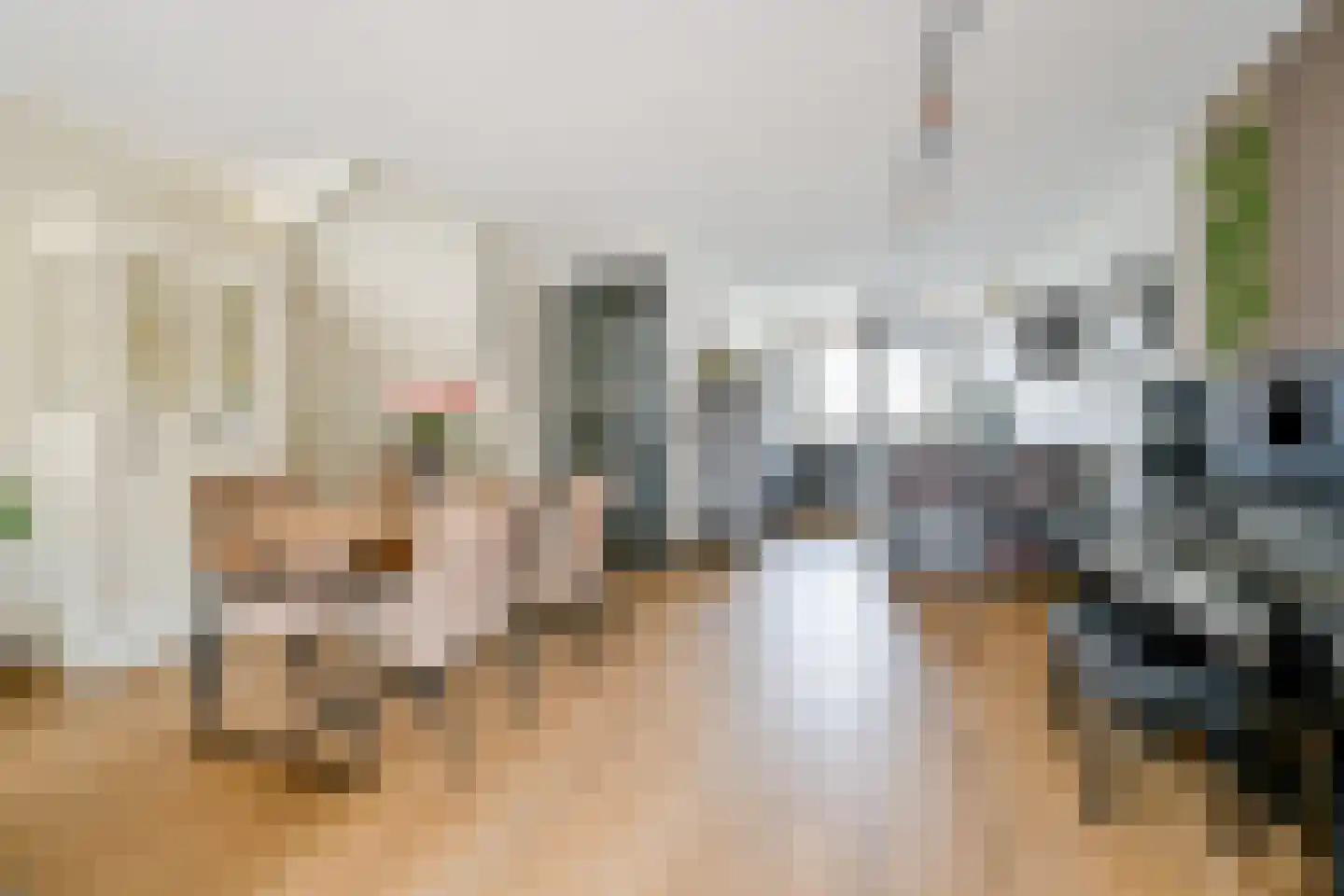 Schuifploeg 21 't Zand thumbnail 6