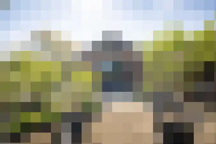 Schuilenbergerweg 4 a Olst thumbnail 4