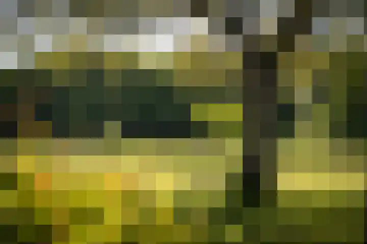 Schuilenbergerweg 4 a Olst thumbnail 41