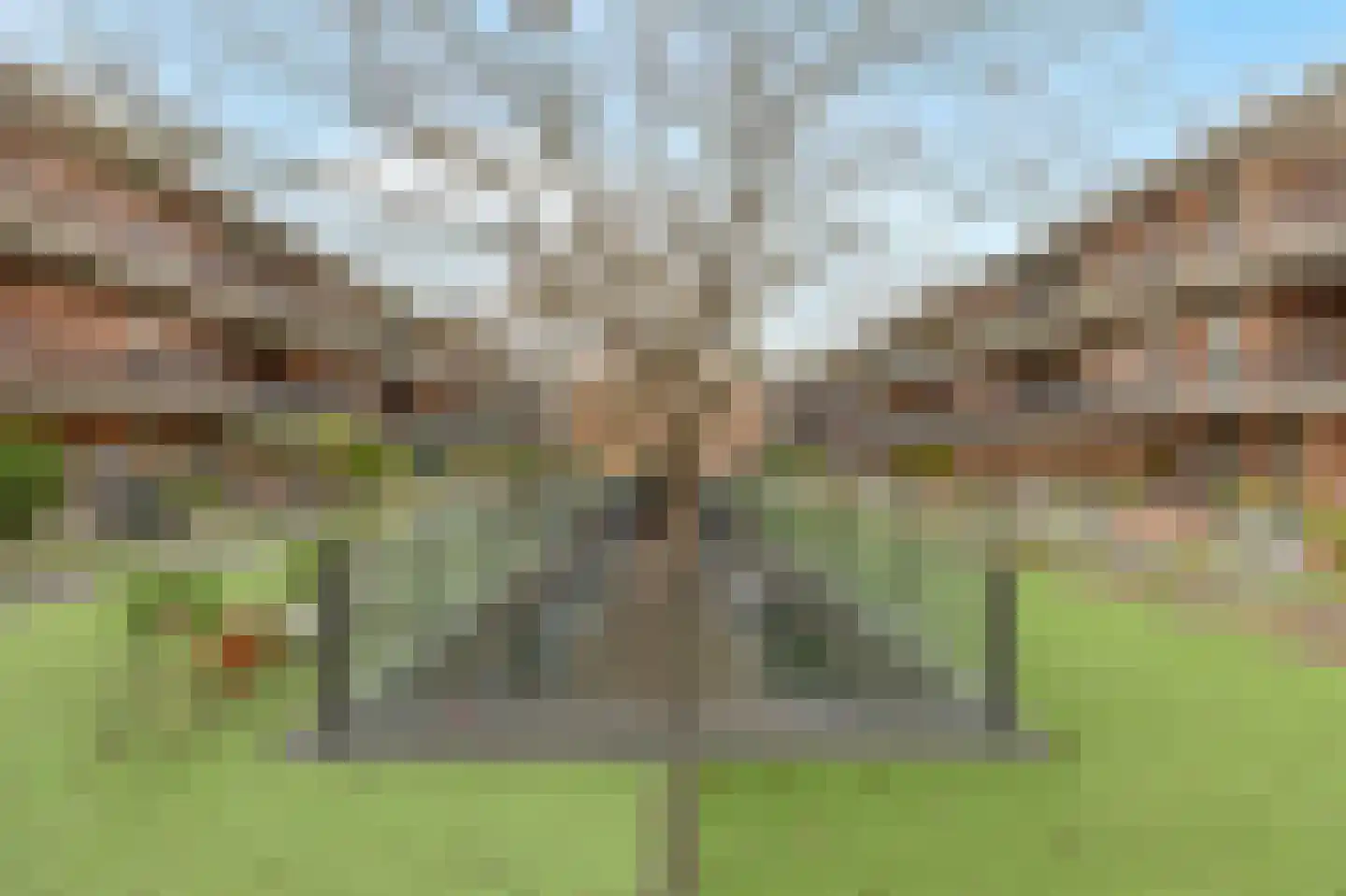 Schuilenburg 103 Rotterdam thumbnail 32