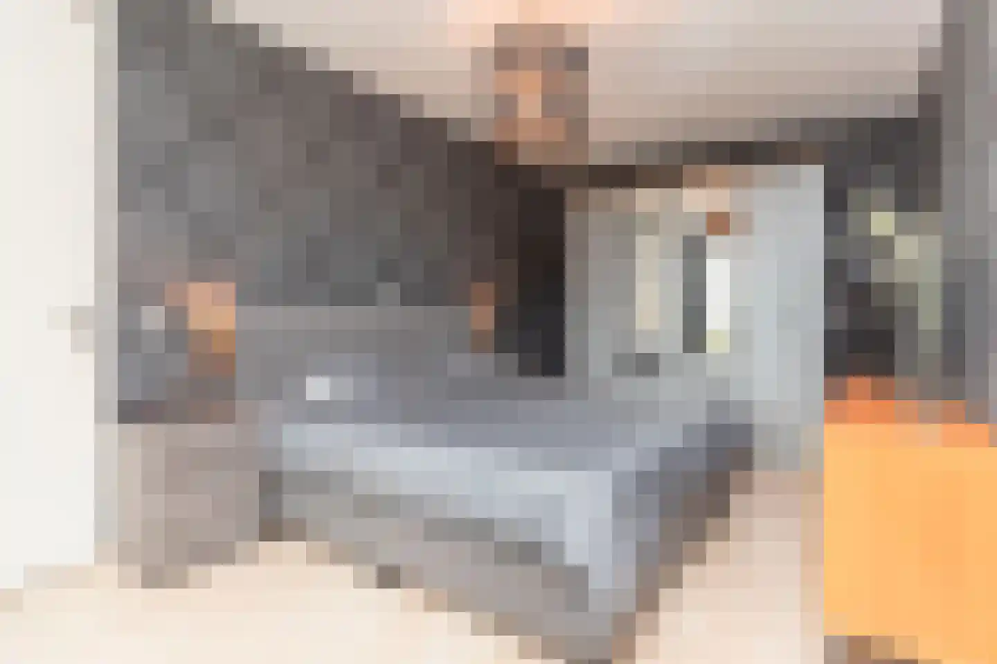 Schuilenburg 103 Rotterdam thumbnail 6