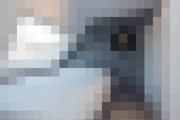 Schuilenburg 112 Hoofddorp thumbnail 27