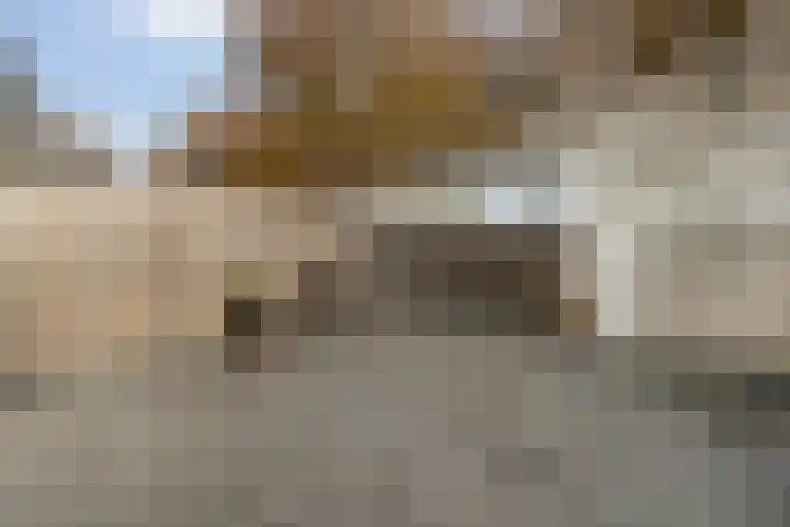 Schuilenburg 129 Dordrecht thumbnail 27