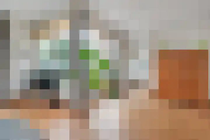 Schuilenburg 2 Raalte thumbnail 23