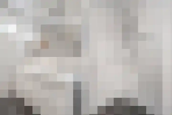 Schuilenburg 2 Raalte thumbnail 31