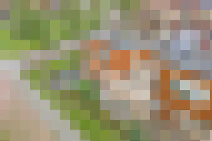Schuilenburg 2 Raalte thumbnail 4