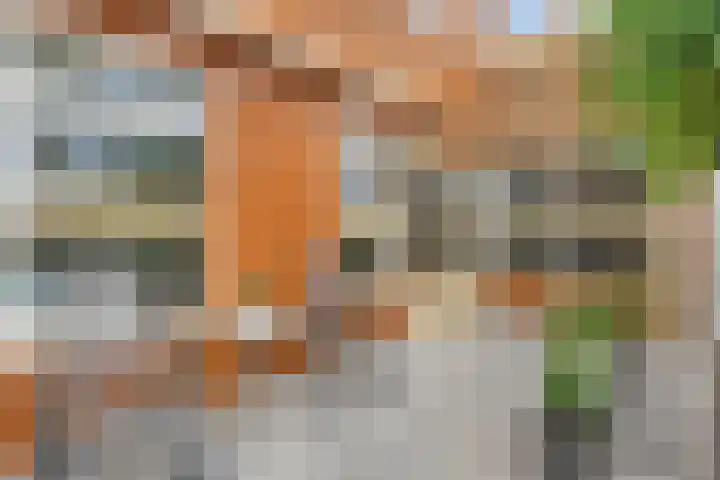Schuilenburg 2 Raalte thumbnail 42