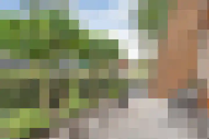 Schuilenburg 2 Raalte thumbnail 44