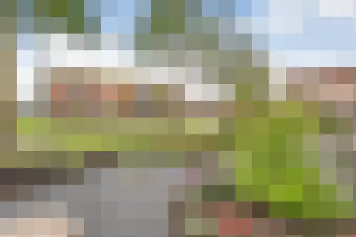 Schuilenburg 2 Raalte thumbnail 45