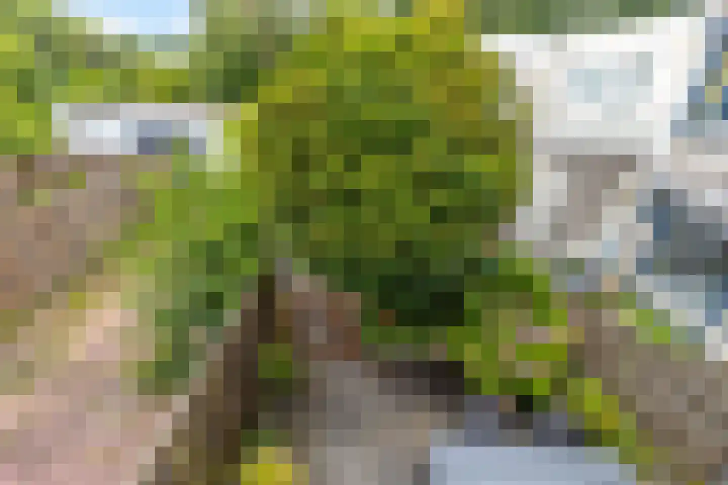 Schuilenburg 21 Dordrecht thumbnail 34