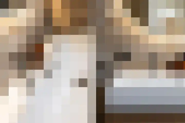 Schuilenburg 28 Raalte thumbnail 27