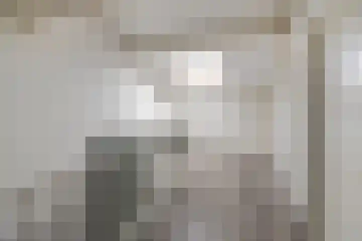 Schuilenburg 28 Raalte thumbnail 32