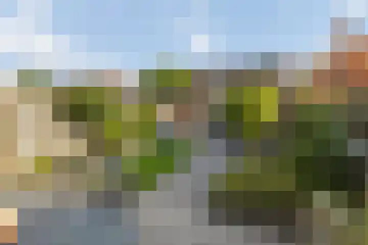 Schuilenburg 28 Raalte thumbnail 36