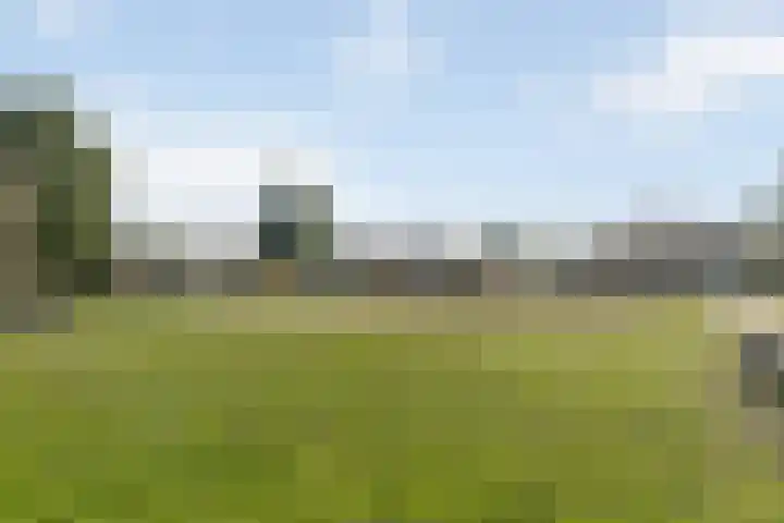 Schuilenburg 28 Raalte thumbnail 39