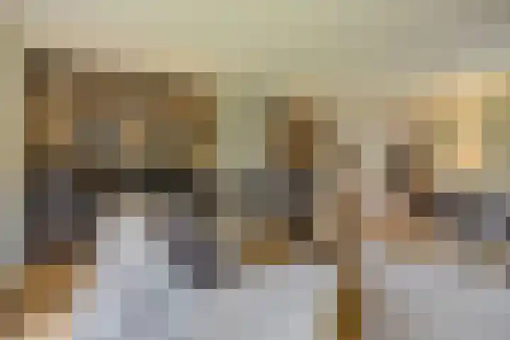 Schuilenburg 4 Etten-Leur thumbnail 15