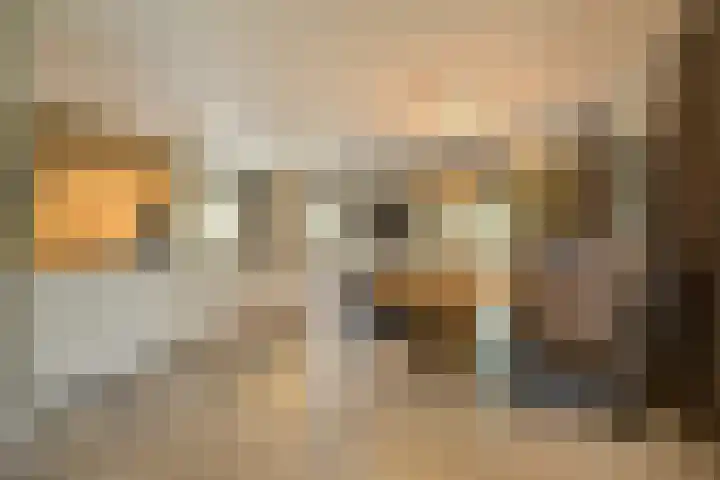 Schuilenburg 4 Etten-Leur thumbnail 16