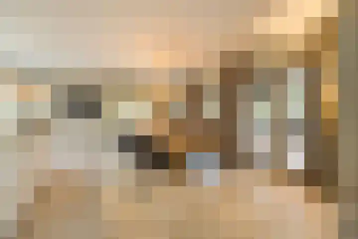 Schuilenburg 4 Etten-Leur thumbnail 17