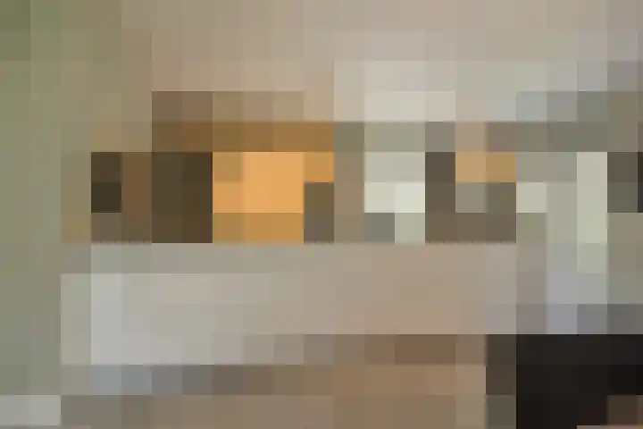 Schuilenburg 4 Etten-Leur thumbnail 18