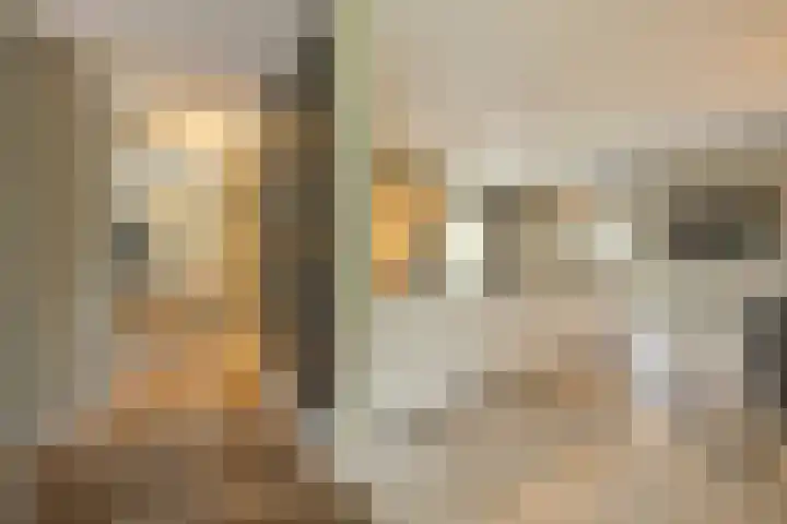 Schuilenburg 4 Etten-Leur thumbnail 26