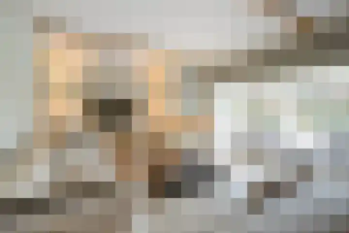 Schuilenburg 4 Etten-Leur thumbnail 28