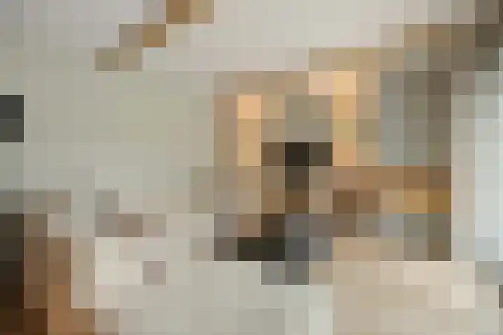 Schuilenburg 4 Etten-Leur thumbnail 29