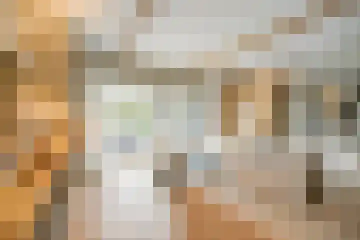 Schuilenburg 4 Etten-Leur thumbnail 30