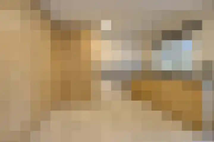Schuilenburg 4 Etten-Leur thumbnail 31
