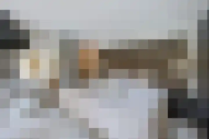 Schuilenburg 4 Etten-Leur thumbnail 35