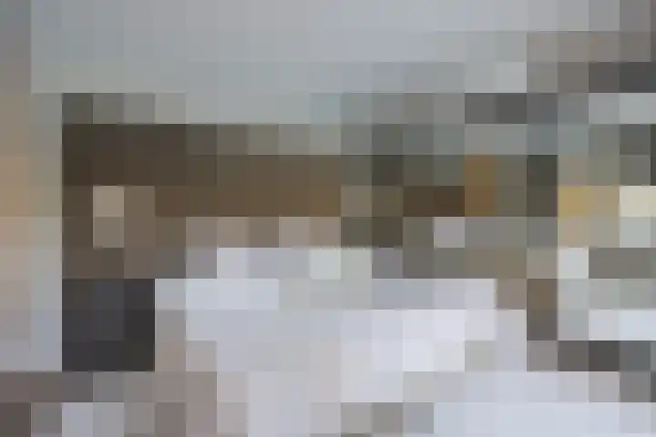 Schuilenburg 4 Etten-Leur thumbnail 37