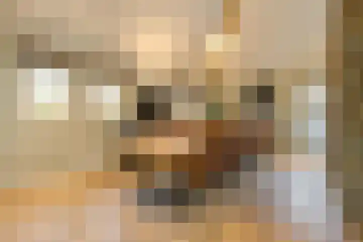 Schuilenburg 4 Etten-Leur thumbnail 42