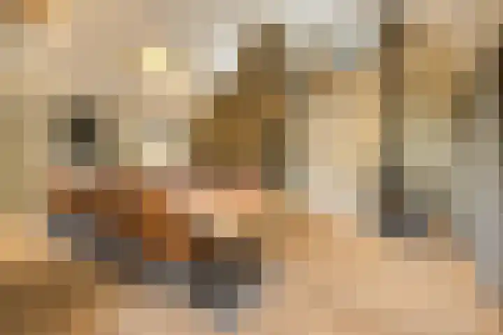 Schuilenburg 4 Etten-Leur thumbnail 43