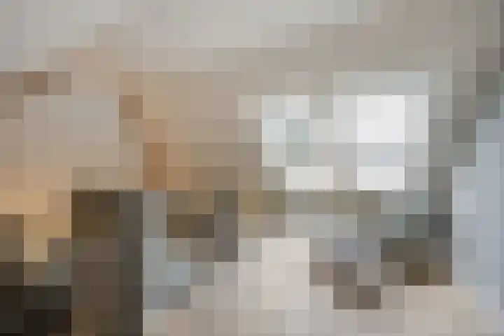Schuilenburg 4 Etten-Leur thumbnail 44