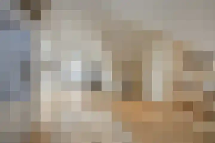 Schuilenburg 4 Etten-Leur thumbnail 45