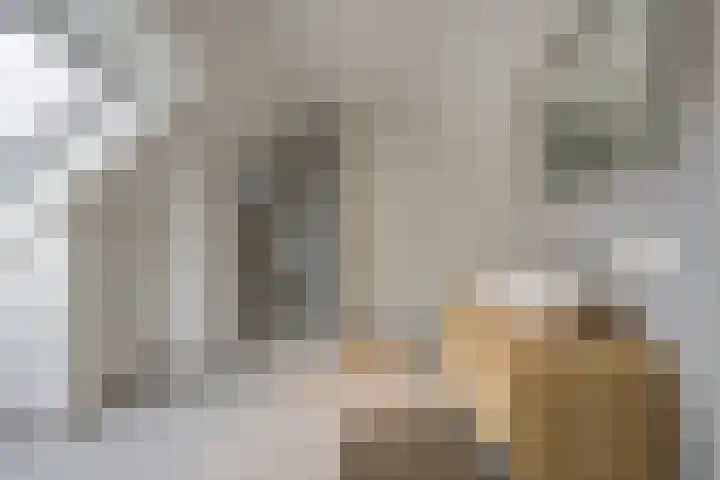 Schuilenburg 4 Etten-Leur thumbnail 48