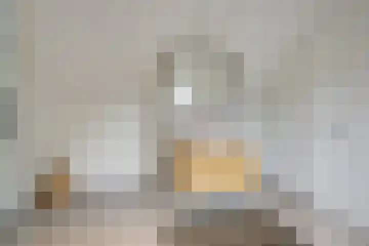 Schuilenburg 4 Etten-Leur thumbnail 49