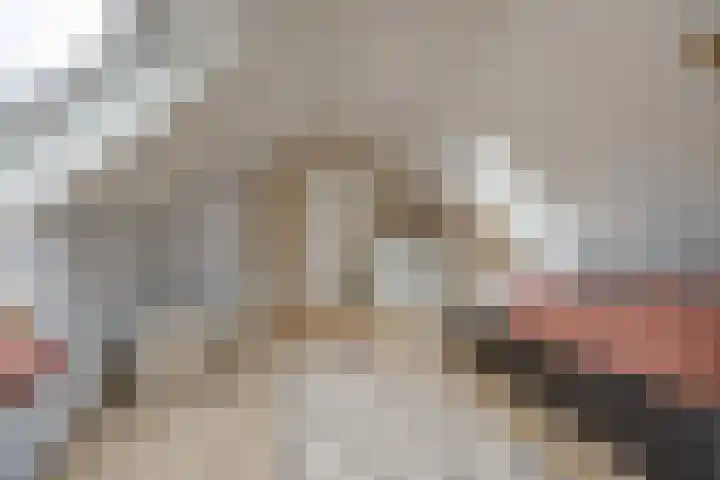 Schuilenburg 4 Etten-Leur thumbnail 51