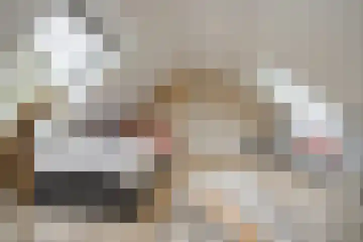 Schuilenburg 4 Etten-Leur thumbnail 52